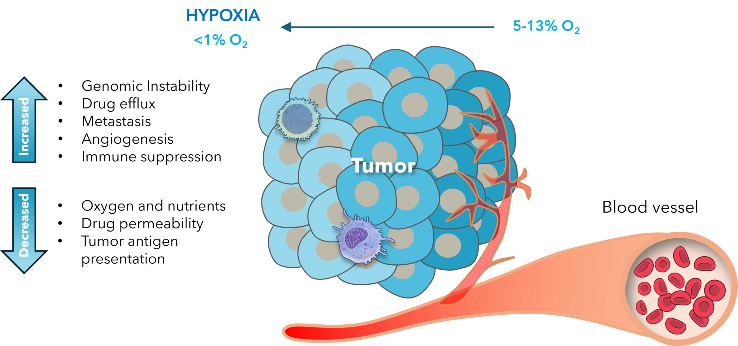Immune Cells in Their Element: The Critical Role of Physiological ...